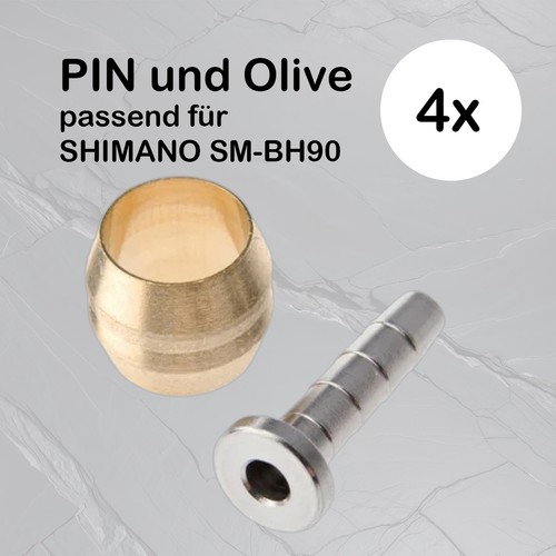 Olive und pin - und, für